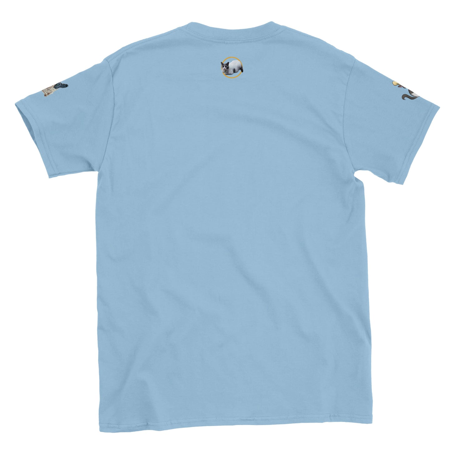 All of the Chads T