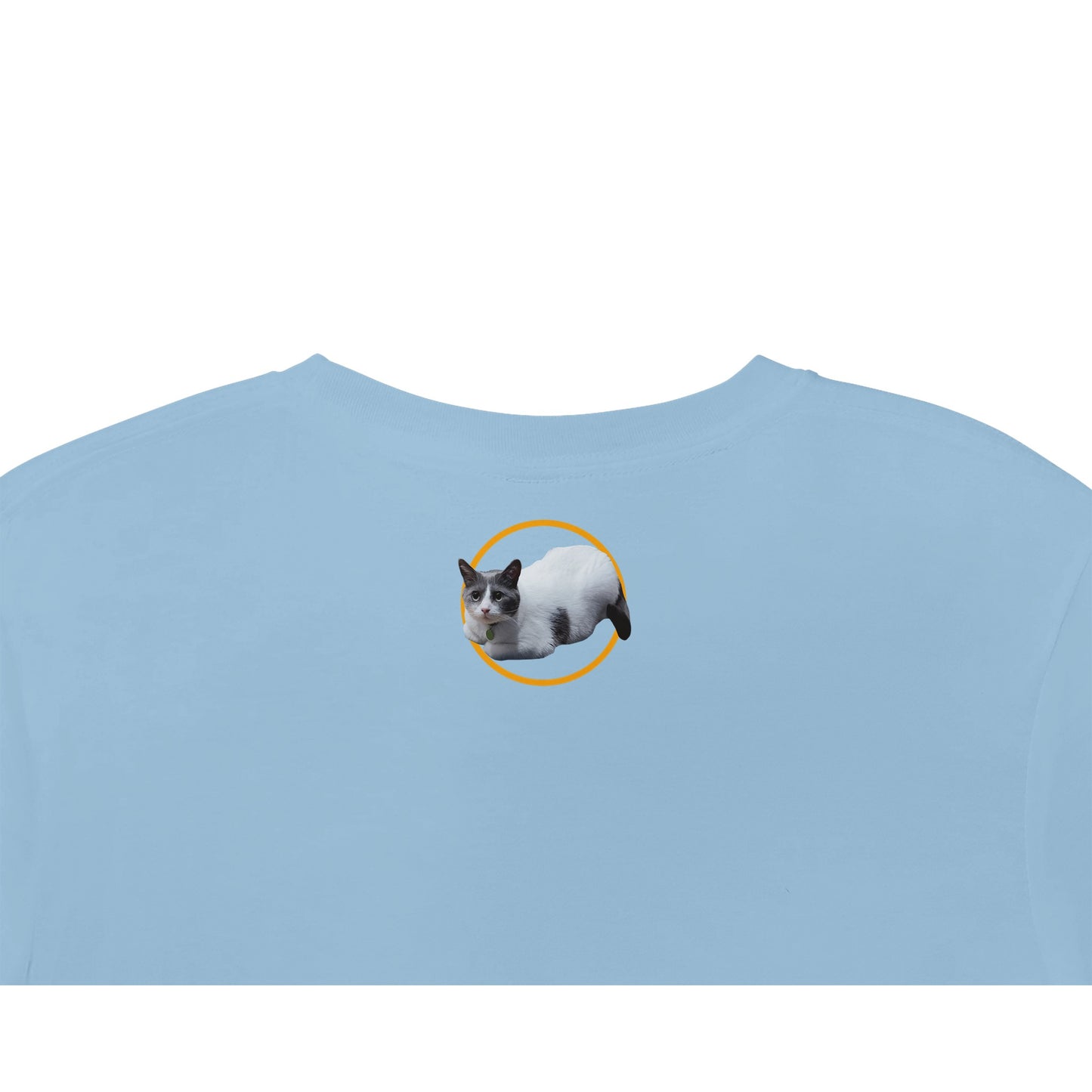 All of the Chads T